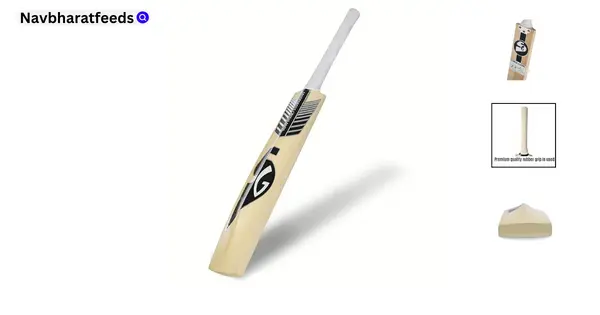 Best cricket bat: