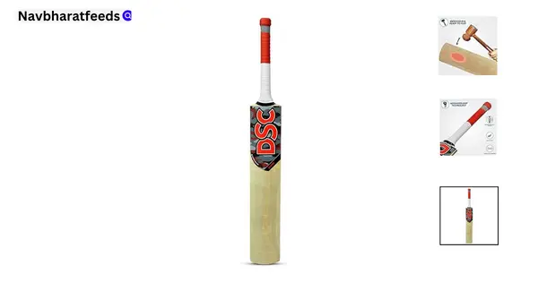 Best cricket bat: