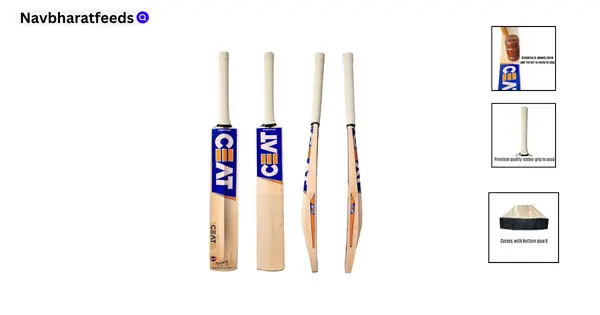 Best cricket bat: