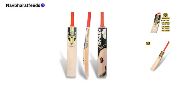 Best cricket bat