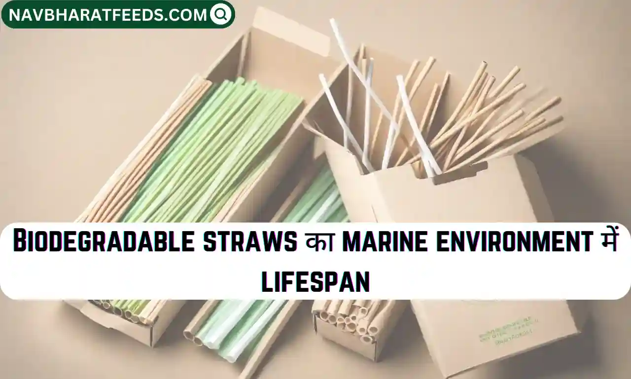 Biodegradable straws